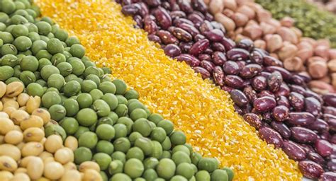 Five Naturally Super Foods On The Rise Nutraceuticals World