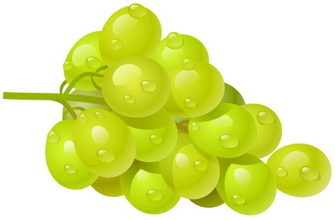 White Grape Png Clipart Picture Fruit And Vegetables Clip Art Png