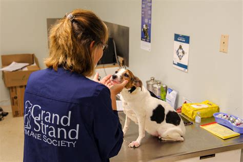 Veterinary Services - Grand Strand Humane Society
