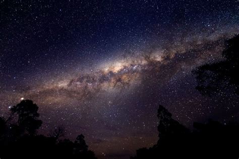 The Milky Shines Brightly In The Night Sky Above Some Trees And Bushes