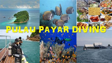Pulau payar is one of the islands of the marine park. Pulau Payar Diving Package | Pulau Langkawi Tour & Travel