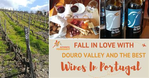 Fall In Love With Douro Valley And The Best Wines In Portugal