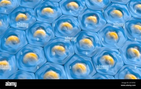 3d Illustration Of A Top View On Blue Cell Pattern With Yellow Cell