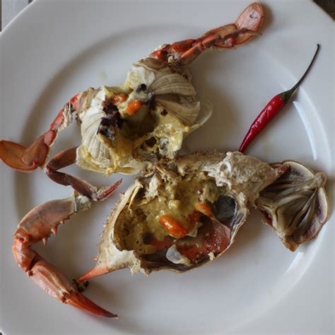 Whether it's chicken, beef, duck or something else, meat is their primary source of vital nutrition. How to Eat Crab -Crabbing HQ