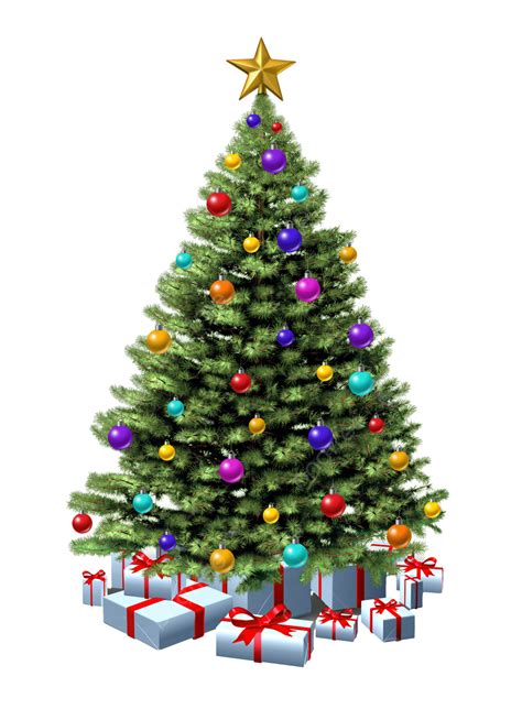 Decorated Christmas Tree Festive Christmas Tree Design Element Bows