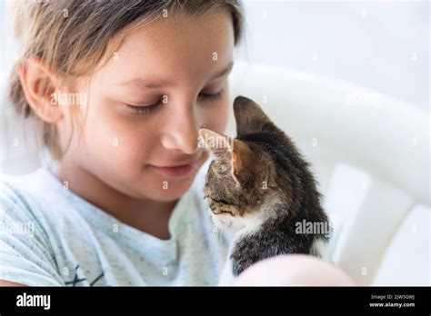Little Girl Holding Baby Cat Kids And Pets Stock Photo Alamy