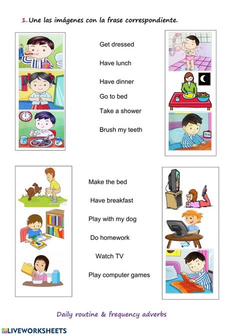 Daily Routine And Frequency Adverbs Ficha Interactiva Y Descargable