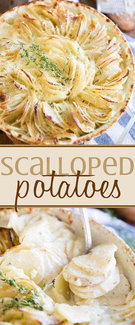 These side dishes can match any main dish with just 10 min prep. Elegant Scalloped Potatoes | Recipe | Vegetable dishes ...