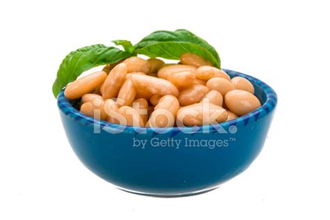 Tinned Bean Stock Photo Royalty Free Freeimages