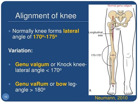 1 Biomechanics Of The Knee Joint Basics