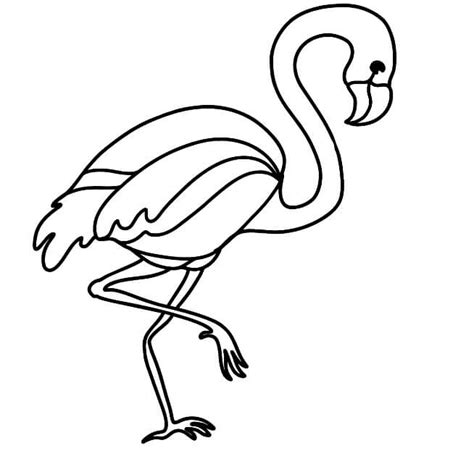 Casal Flamingos Para Colorir Imprimir E Desenhar Colorir Me