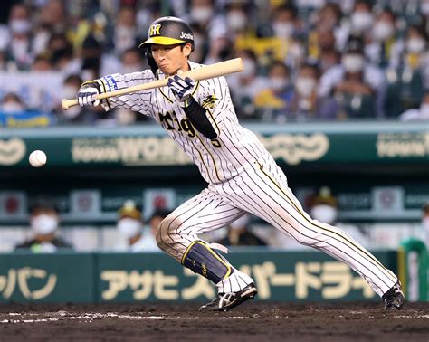 阪神近本2度セーフティーバント決めた！共に得点に プロ野球写真ニュース 日刊スポーツ