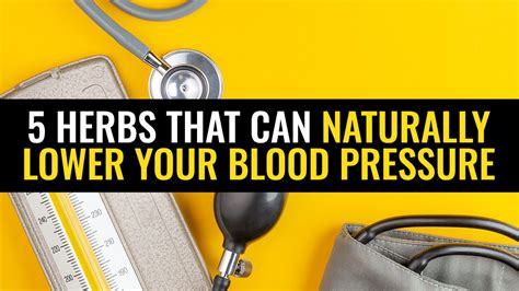 5 Herbs That Can Naturally Lower Your Blood Pressure Youtube