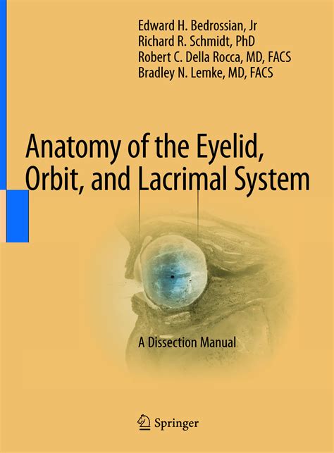 Solution Anatomy Of The Eyelid Orbit And Lacrimal System Edward H