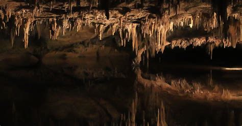 55 Million Year Old Ancient Cave With Its Own Ecosystem Explored By