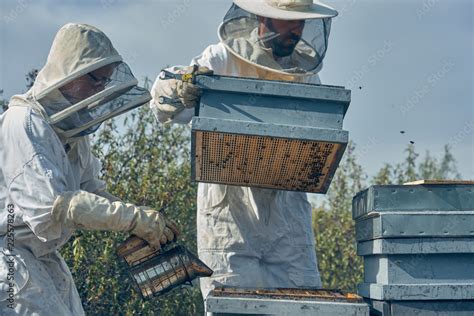 Couple Of Beekeepers Working Collecting The Honey Beekeeping Concept