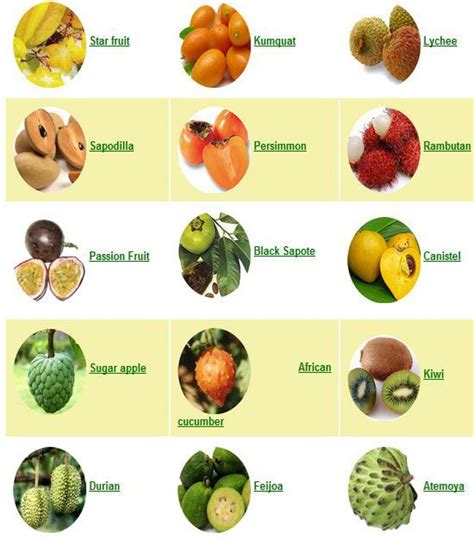 Exotic Fruits Fruit Health Exotic Fruit Fruit List