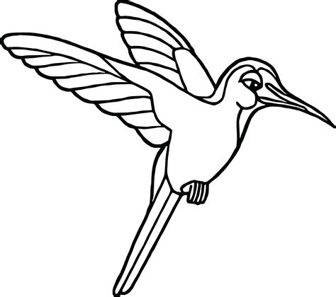 Simple Hummingbird Coloring Pages