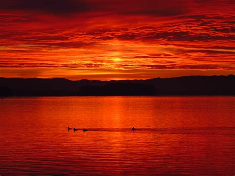 Sunset Orange Lake