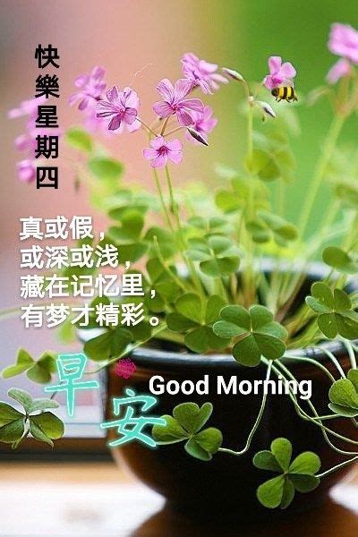 Pin By David Chau On Greeting Herbs Plants Good Morning