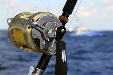 Our top 5 cryptocurrency of 2021. Top 5 Brands of Saltwater Reels
