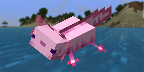 Minecraft Player Makes An Adorable Axolotl Statue