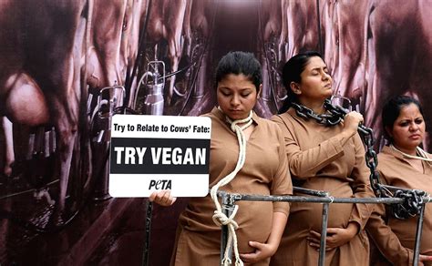 PETA activists go vegan