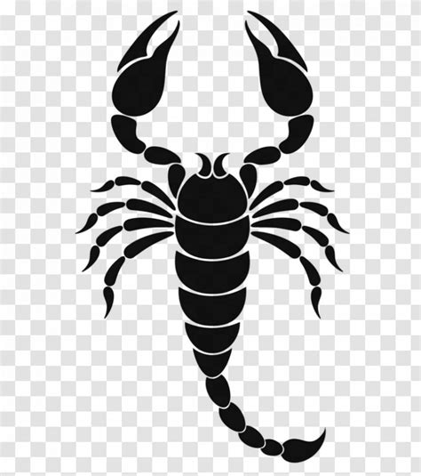 Scorpion Zodiac Astrological Sign Symbol Scorpio Scorpions
