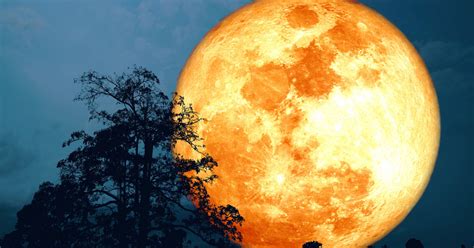 Luna Llena De Ciervo Del 3 De Julio De 2023 Una Superluna Espectacular