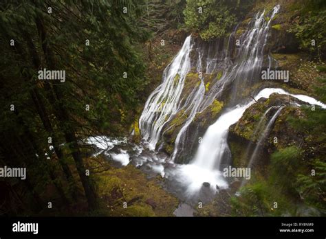 Panther Creek Falls Skamania County Washington Usa Stock Photo Alamy