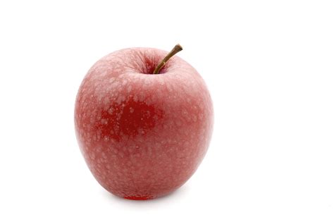 Single Fresh Red Apple Free Stock Image