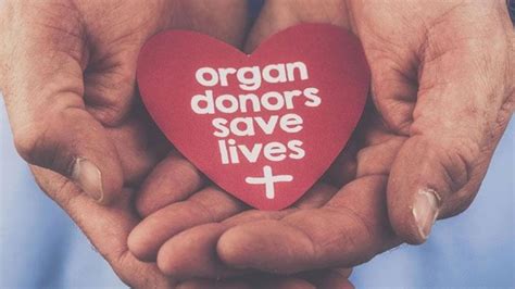 World Organ Donation Day A Brief History Latest News India