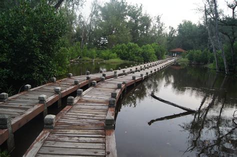 Swamp Bridge By Fgxgt On Deviantart