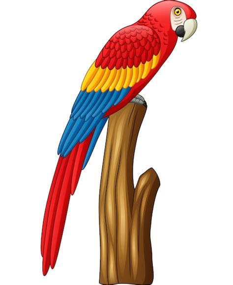 Pássaro De Arara Bonito Dos Desenhos Animados Vetor Premium