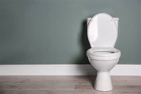 10 Best Flushing Toilets Of 2023 Power Flush Toilet Reviews