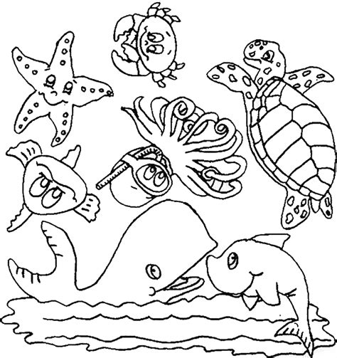 Mewarnai Laut Binatang Aneka Hewan Papan Sketch Coloring Page