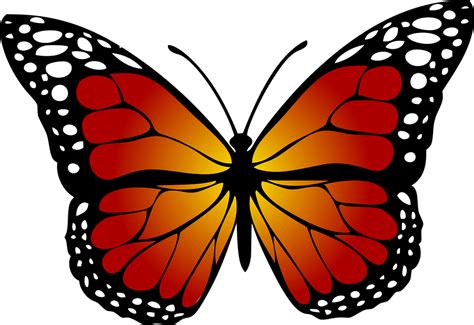 Free Monarch Butterfly Clipart 20 Free Cliparts Download