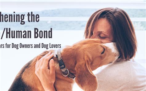 Strengthening The Caninehuman Bond With Canine Foundations Hamilton