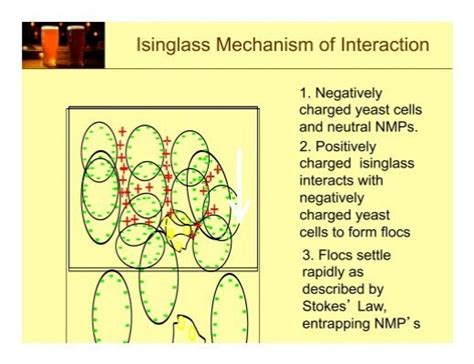 Isinglass Mechanism