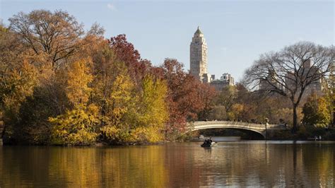Fall Foliage Map Shows Where To See Best Views In Nycs Central Park