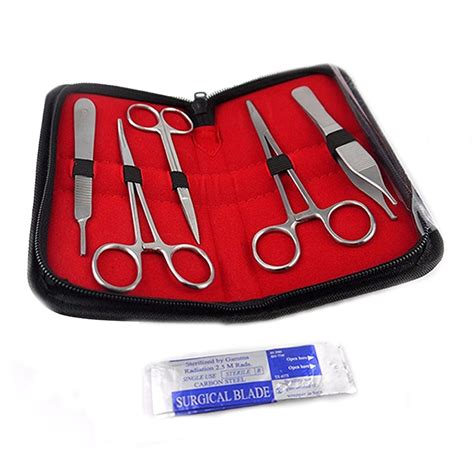 Buy Dissection Kit 10pcs Stainless Steel Lab Dissection Set Biology