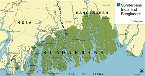 Sundarbans Part Of Worlds Largest Delta In West Bengal Indiapost