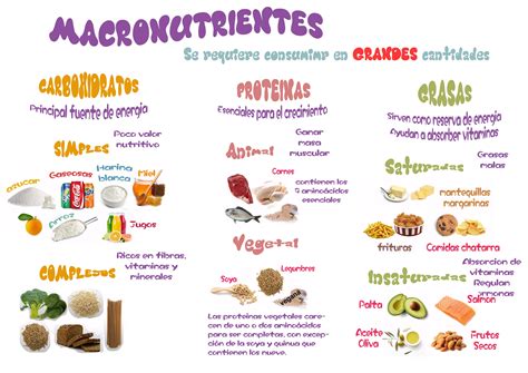 Clasificacion De Los Alimentos Macronutrientes Carbohidratos Hot Sex Picture