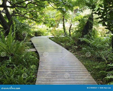 Wooden Walk Path Stock Image Image Of Rock Architecture 27840531