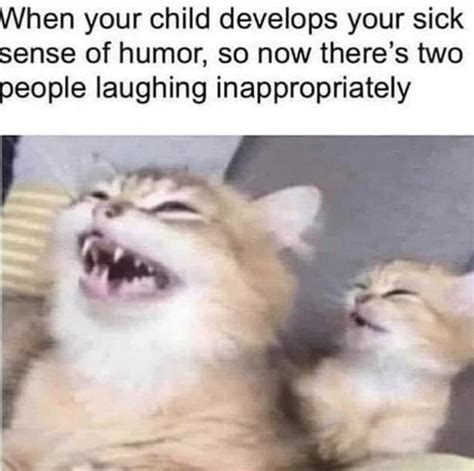 Hehe Hehe Cats Know Your Meme