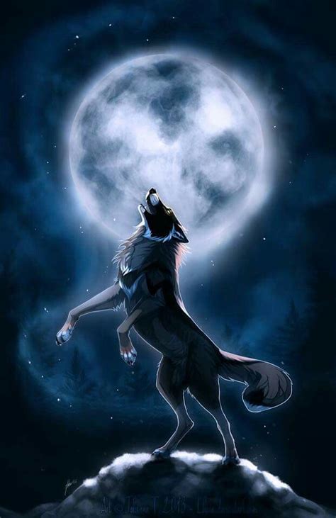 Howling Wolf Anime Wolf Wolf Wallpaper Wolf Spirit Animal