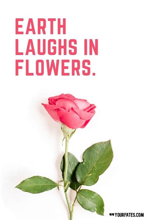 110 Beautiful Flower Quotes To Make Your Life Bloom 2021