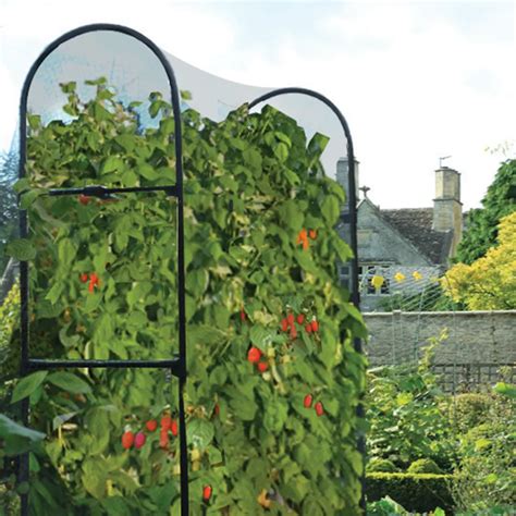 Telescopic Raspberry Support Raspberry Trellis Garden Structures