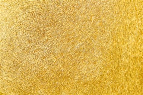 Gold Cow Fur Texture In Patterns Seamless Vintage Background Stock