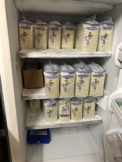 Chest Freezer For Breastmilk Alhayaalyoom